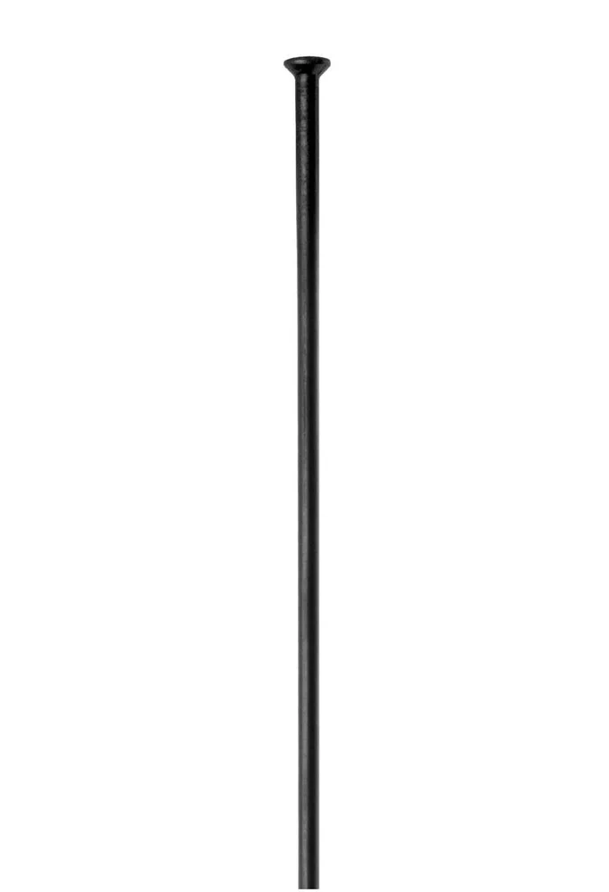 Champion SP Sorte Eiker v:1598936