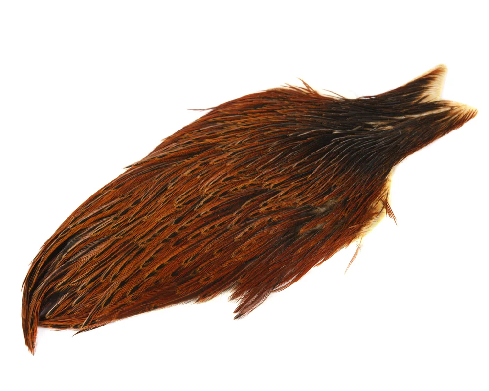 Whiting Whiting Hen Cape Brown v:7354600 Whiting Whiting Hen Cape Brown v:7354600