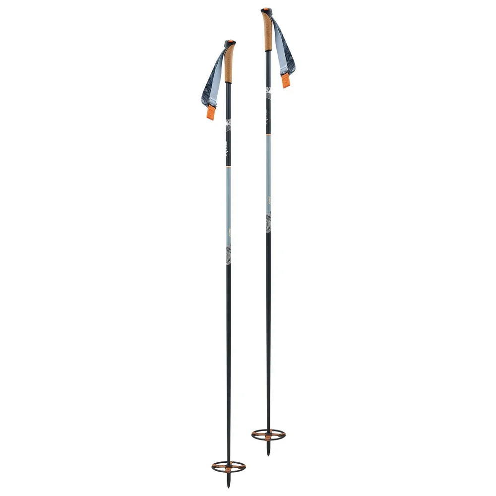 Swix Blizzard Mountain Tourer Nocolor v:6456192