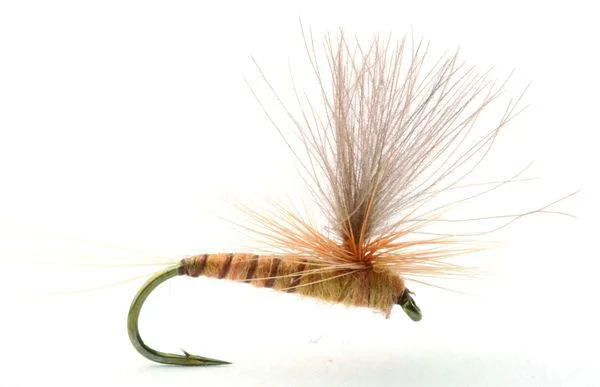 Umpqua Flies Aurivilli Sand/orange v:8149134 Umpqua Flies Aurivilli Sand/orange v:8149134