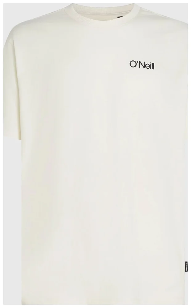 Polygiene Cotton T-Shirt M’s v:4676168 Polygiene Cotton T-Shirt M’s v:4676168