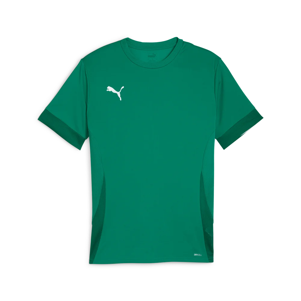 teamGOAL Matchday Jersey, treningstrøye, herre – Grønn v:1636102