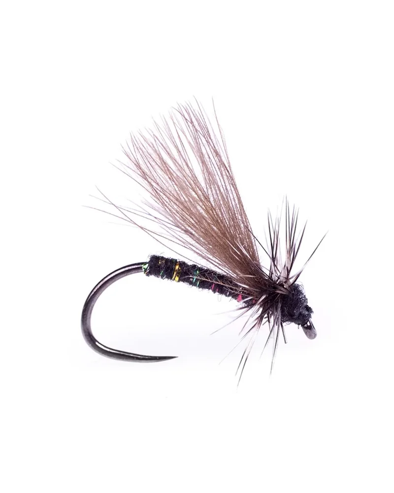 Umpqua Flies Apt v:6702829 Umpqua Flies Apt v:6702829