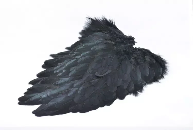 FutureFly American Hen Saddle v:3386841