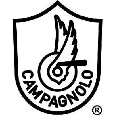 Campagnolo 2 x 39 mm Skruer Sort, 2 x 39 mm, passer til 30 – 34 mm v:8961868 Campagnolo 2 x 39 mm Skruer Sort, 2 x 39 mm, passer til 30 – 34 mm v:8961868