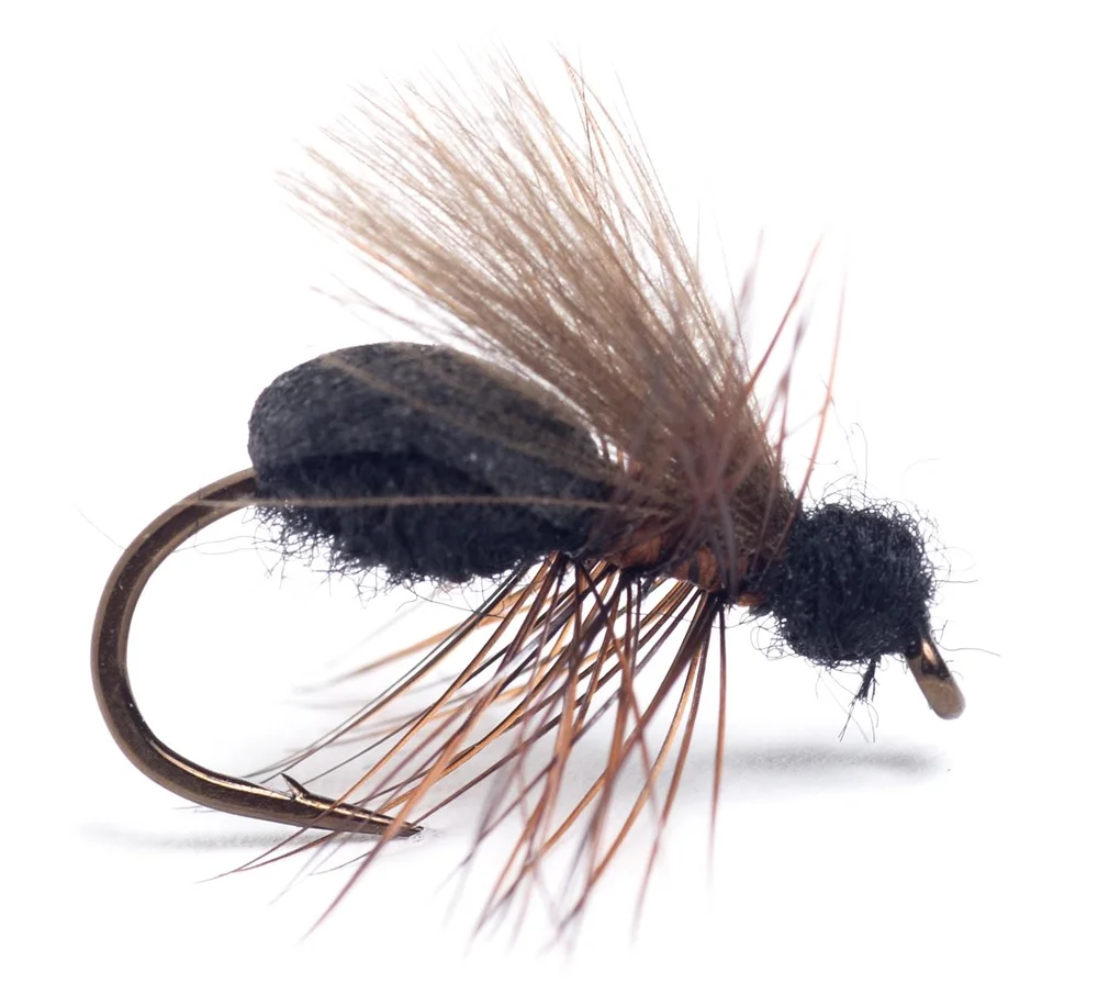 Guideline Guideline Rufa Flying Ant v:9514271 Guideline Guideline Rufa Flying Ant v:9514271